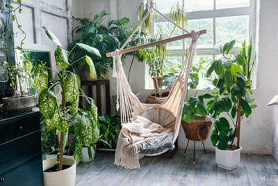 Indoor-Garden